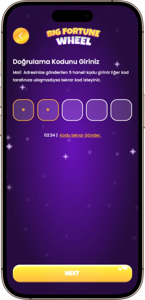 Big Fortune Wheel doğrulama kodu ekranı